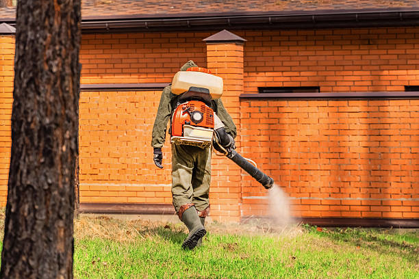 Trusted Ant Control service in Humboldt, KS - Nex Pest Control